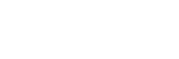 Passiva Logo